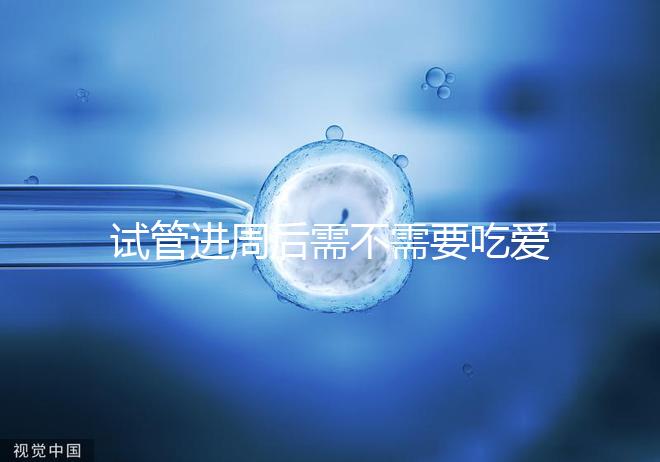 試管進(jìn)周后需不需要吃愛(ài)樂(lè)維、要吃多久別瞎猜，真相在這