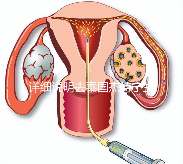 詳細(xì)說明去泰國杰特寧生殖中心做第三代試管技術(shù)的五大優(yōu)勢，幫助你克服生育問題，快速隱藏！