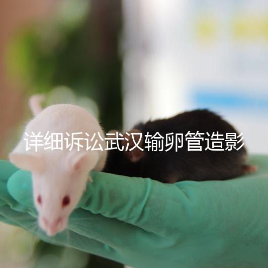 詳細訴訟武漢輸卵管造影檢查多少錢，能否報銷，不要錯過