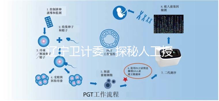 遼寧衛(wèi)計(jì)委:探秘人工授精和試管嬰兒的區(qū)別