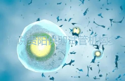 誰說貴陽供卵試管機(jī)構(gòu)多給錢就不用排隊,醫(yī)生:不亂收費(fèi)