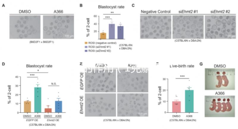 麝香的作用（1克麝香的價(jià)格）