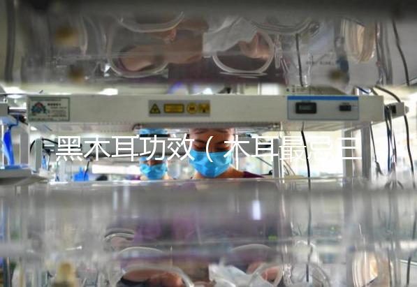 黑木耳功效(木耳最忌三種菜)