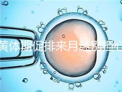 黃體期促排來月經(jīng)別擔(dān)心！過來人經(jīng)驗(yàn)告訴你怎么辦