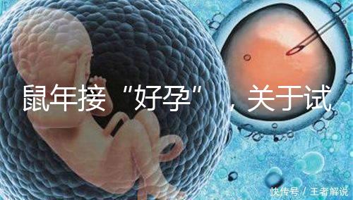 鼠年接“好孕”,關于試管嬰兒取卵的那些事兒!