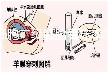 6細胞二級胚胎著床率與養囊成功率解讀，拿不準移植與否戳
