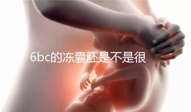 6bc的凍囊胚是不是很差？3分鐘帶你了解胚胎質(zhì)量和級(jí)別