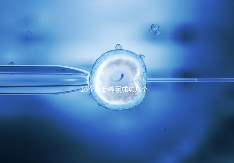 16個(gè)胚胎養(yǎng)囊成功幾個(gè)說(shuō)不準(zhǔn)，11個(gè)概率高不高真不一定