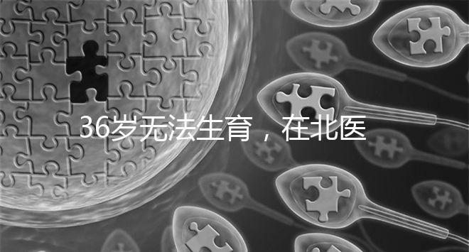 36歲無(wú)法生育,在北醫(yī)三院做人工授精成功率有多少?