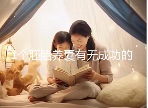 1個胚胎養囊有無成功的幾率進來看,能養成幾個真不好說