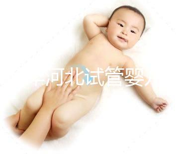 2024年河北試管嬰兒費用可以報銷嗎？補貼金額真的那么大？