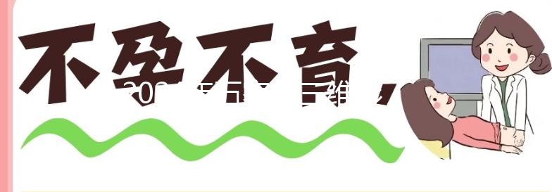 2024年石家莊三維彩超價格公布，想在哪里制作裕華好戳