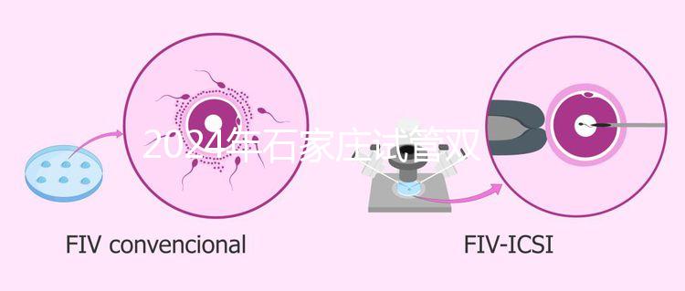 2024年石家莊試管雙胞胎醫(yī)院排名，不要錯過新華、長安