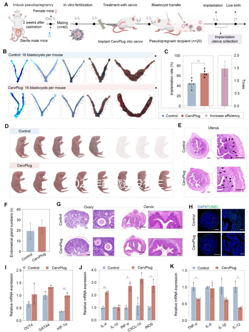 2024年西藏還沒有三代試管嬰兒醫院，那該去哪里做三代呢？
