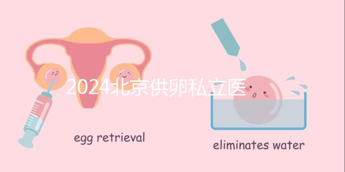 2024北京供卵私立醫(yī)院排行一覽，這三家機(jī)構(gòu)竟在名單中
