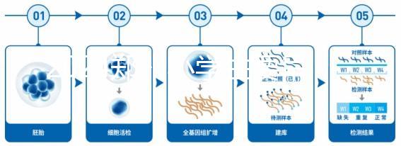 2024鄭州小學生要早知道入學條件，別忘了中原區(qū)的這些證件