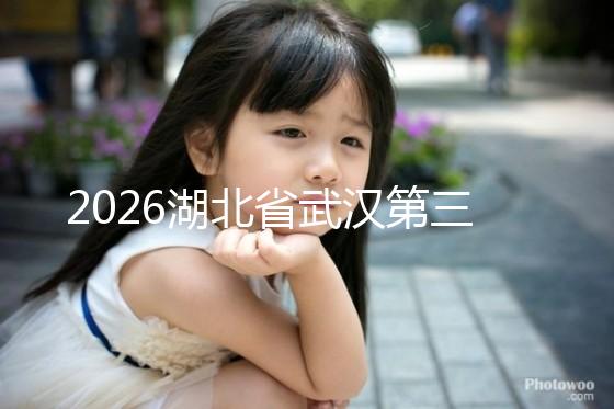 2026湖北省武漢第三代試管嬰兒費用明細:各項收費價格全面公開