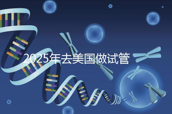 2025年去美國做試管嬰兒的攻略:從醫院選擇到成功率分析