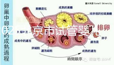 2025北京市試管嬰兒醫院排名TOP10:推薦5家私立機構+5家公立醫院