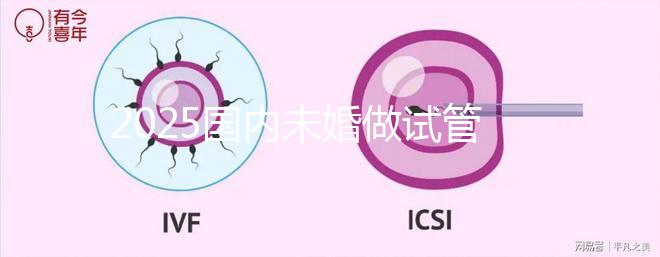 2025國(guó)內(nèi)未婚做試管嬰兒的機(jī)構(gòu)都是哪些?